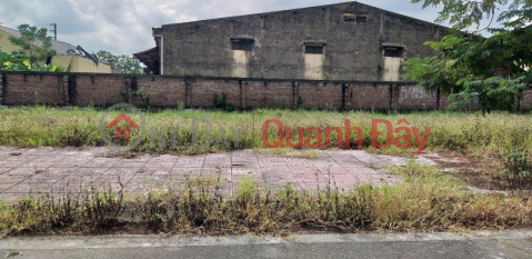 OWNERS - Quick sale of VILLA LOT in Manh Hung Green City Urban Area - Ly Nhan - Ha Nam _0