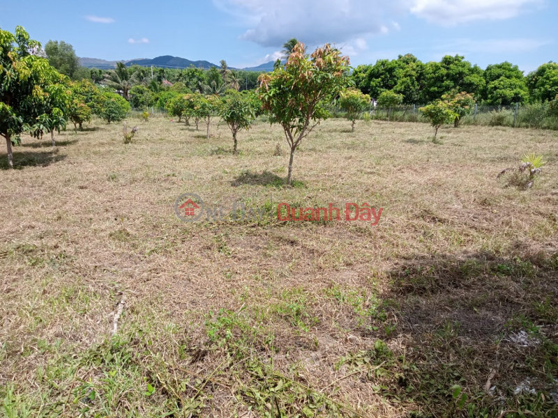 CUT RESIDENTIAL LAND - SUPER PREFERENTIAL PRICE at Moi Economic Village, Suoi Tien Commune - Dien Khanh! - Contact 0906 359 868 | Vietnam Sales đ 1.25 Billion