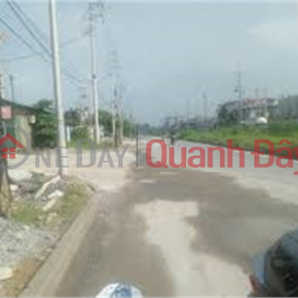 Selling 3ha of factory land for 50 years in Yen Vien town, Gia Lam district, Hanoi _0