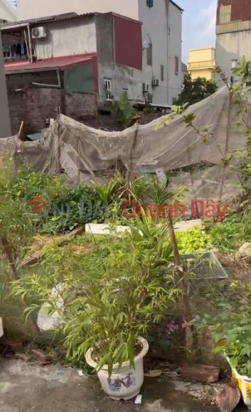 Chính chủ mình cần tiền bán gấp mảnh đất 58,3m ở Tự Môn, Thuận An, Hà Nội (Dương Quang, Gia Lâm cũ) | Việt Nam Bán | đ 3,35 tỷ