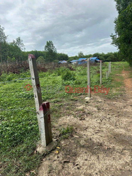 Hot item! Opening for sale 4 cheap land lots from only 185 million\\/lot in Dien Xuan commune, Dien Khanh, Khanh Hoa. Vietnam Sales đ 185 Million