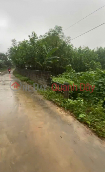 đ 550 Million, 450m2 of land for sale by owner in Roc Tru I Hamlet, Khoan Du Commune, Lac Thuy District, Hoa Binh Province.