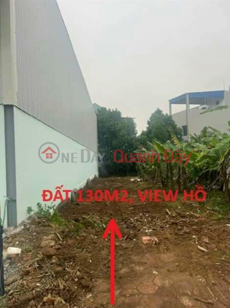 Need to sell quickly the land lot Gian Dan An Thap - Nhan Hoa - My Hao Vietnam, Sales đ 2.4 Billion