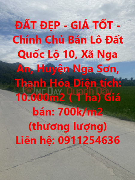 BEAUTIFUL LAND - GOOD PRICE - Owner Sells Land Lot on Highway 10, Nga Son District, Thanh Hoa Province Sales Listings