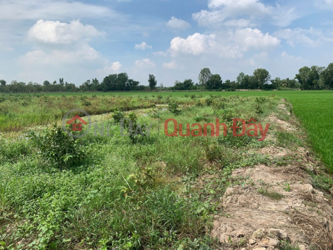 Land by Owner - Good Price Location Tan Binh Commune, Chau Thanh, Dong Thap _0