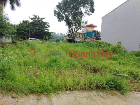 Land in Dong Xuan, Phuc Yen, Vinh Phuc 400m2 Full ODT _0