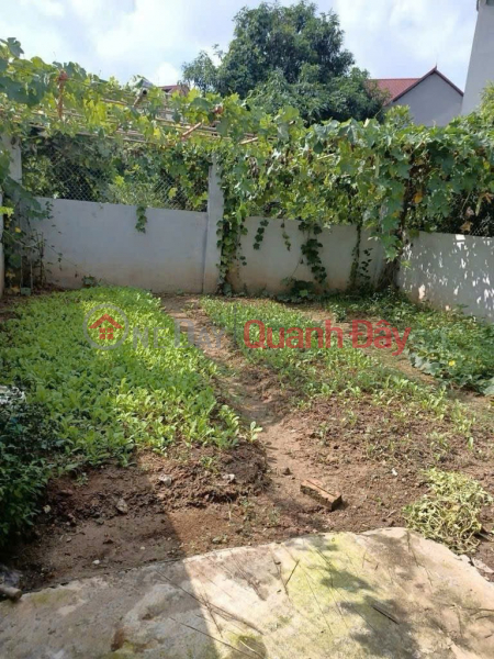 đ 5.8 Billion | Owner selling a potential plot of land on National Highway 2, Tan Dan Commune, Soc Son District, Hanoi - Not affected by any planning restrictions.
