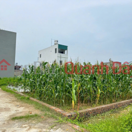 Urgent Sale of Corner Lot with 3 Open Sides - Residential Group No. 10, Quang Minh Town, Me Linh, Hanoi _0