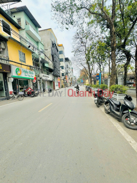 Street front for business, cash flow 48 million\\/month, park view, square land title expanding to the back, rare houses for sale, stable planning, Vietnam | Sales | đ 42 Billion