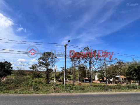 The owner quickly sold a very beautiful, super rare piece of land at a cheap price in Ngo Quyen, Tra Da commune, Plei Ku city _0