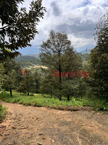đ 28.5 Billion, PRIME LAND FOR SALE - OWNER NEEDS TO SELL A PLOT OF LAND IN A STREET LOCATION IN HA LAM COMMUNE, DA HOAI DISTRICT, LAM DONG PROVINCE
