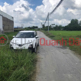 1 Ha Square Land SHR HXH – Duc Hoa Thuong Long An S _0