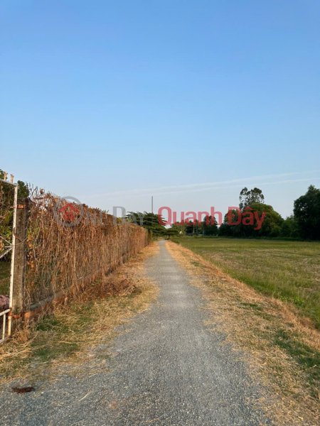 OWNER SELLING 2 adjacent plots of land in alley off D5 street, Hamlet 4, Ward 5, Tra Vinh City, Tra Vinh Province | Vietnam Sales đ 1 Billion