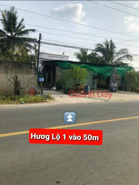 BEAUTIFUL LAND - GOOD PRICE - Land Lot For Sale Prime Location In Thanh Phuoc Commune, Go Dau District, Tay Ninh _0