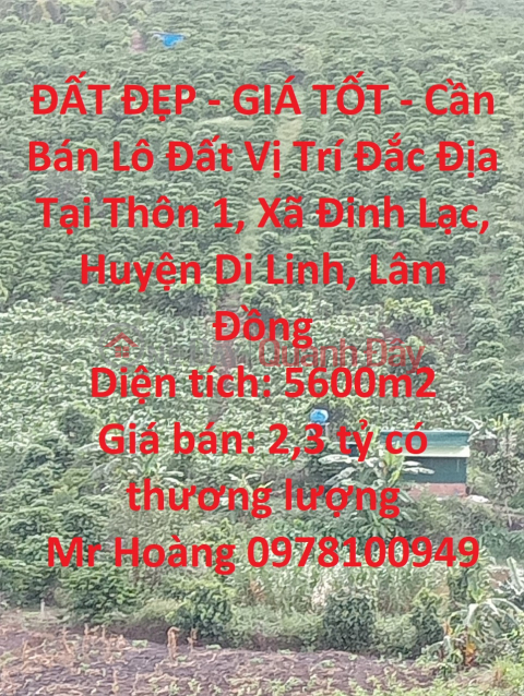 ĐẤT ĐẸP - GIÁ TỐT - Cần Bán Lô Đất Vị Trí Đắc Địa Tại Thôn 1, Xã Đinh Lạc, Huyện Di Linh, Lâm Đồng _0