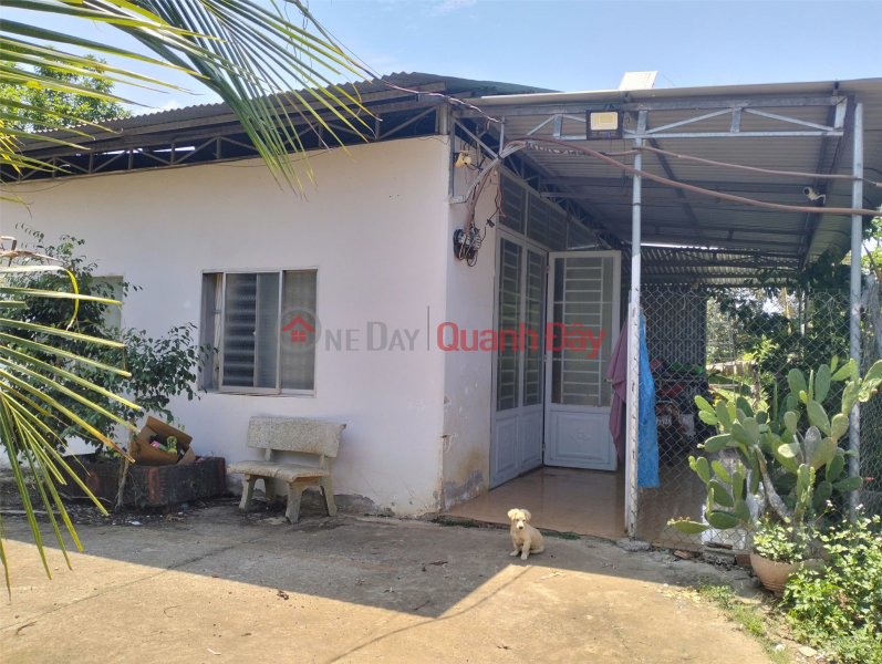 Owner selling land with house included. Address: Bao Quang Commune, Long Khanh City, Dong Nai Province. Sales Listings