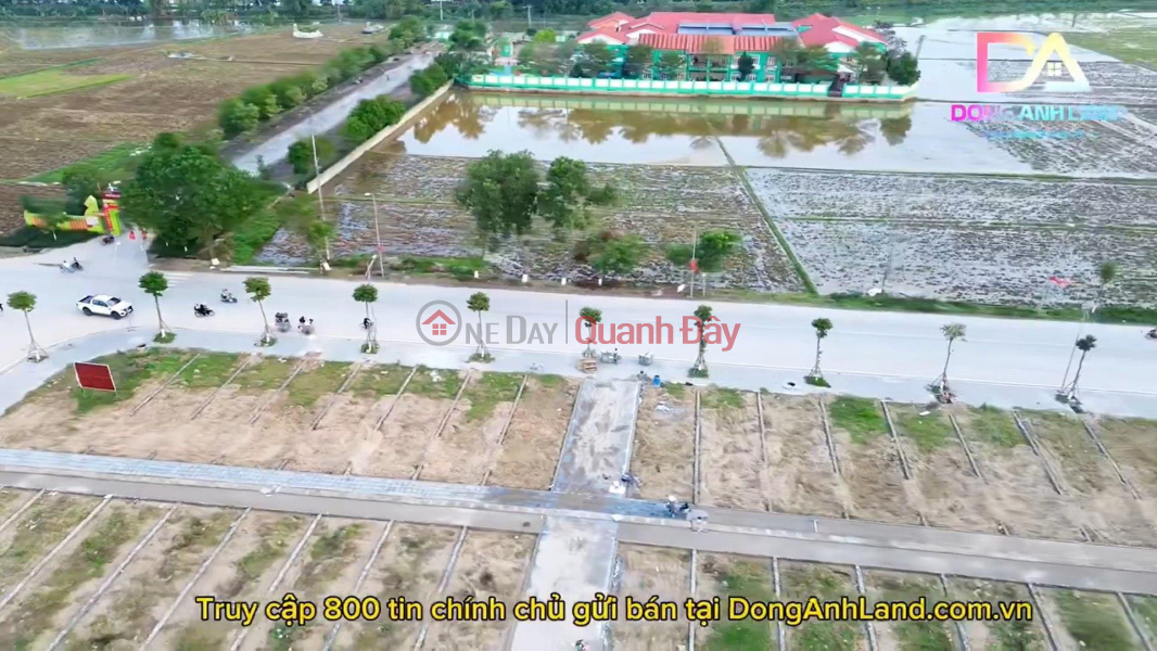 Thuy Lam Dong Anh auction area - auction on January 28, 2024 Sales Listings