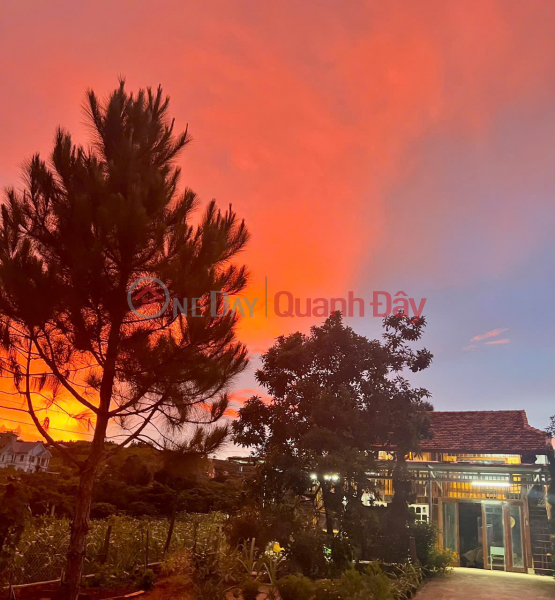 PROFITABLE INVESTMENT – OWNER NEEDS TO SELL LAND IN NAM BAN COMMUNE, NAM HA DISTRICT, LAM DONG PROVINCE, Vietnam, Sales, đ 1.65 Billion