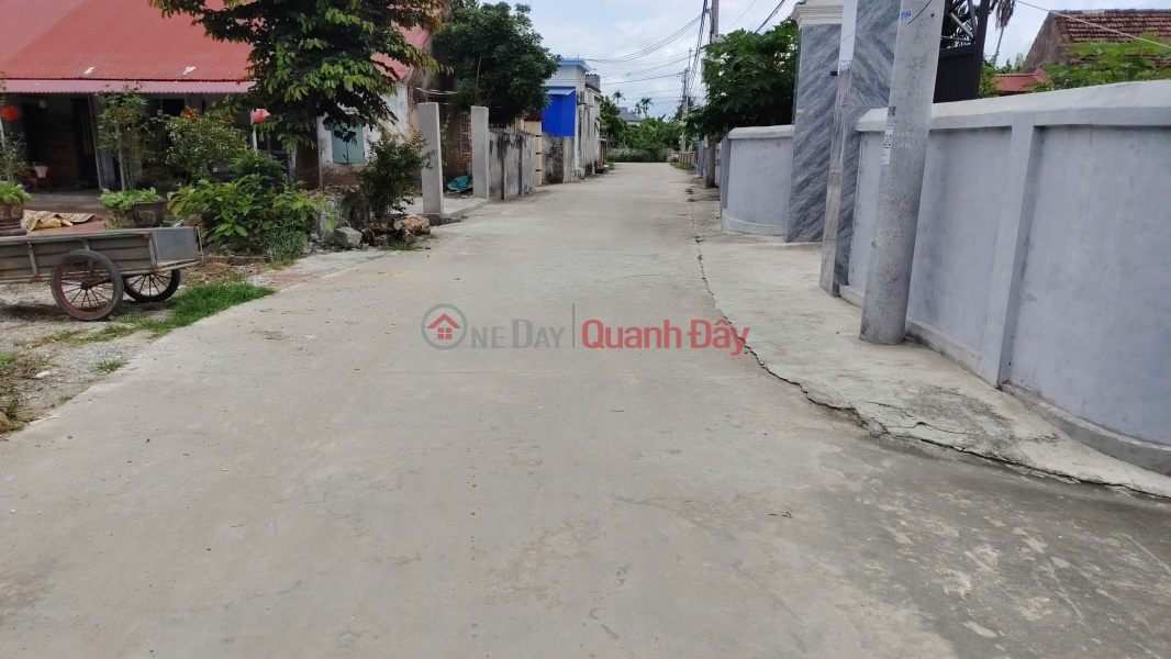 Bán đất đẹp Thôn An Tứ, Tiên Lãng, Hải Phòng - Vị trí tiềm năng, khu dân cư đông đúc - Giá tốt Niêm yết bán