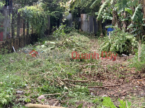 PRIMARY LAND - FOR QUICK SALE Beautiful LAND LOT in Trang Bang, Tay Ninh _0