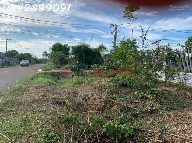 Bán nhà cấp 4 đường Lò Rèn, xã Long Hòa, Dầu Tiếng, 240m2, giá 2,3 tỷ, Việt Nam, Bán | đ 2,3 tỷ