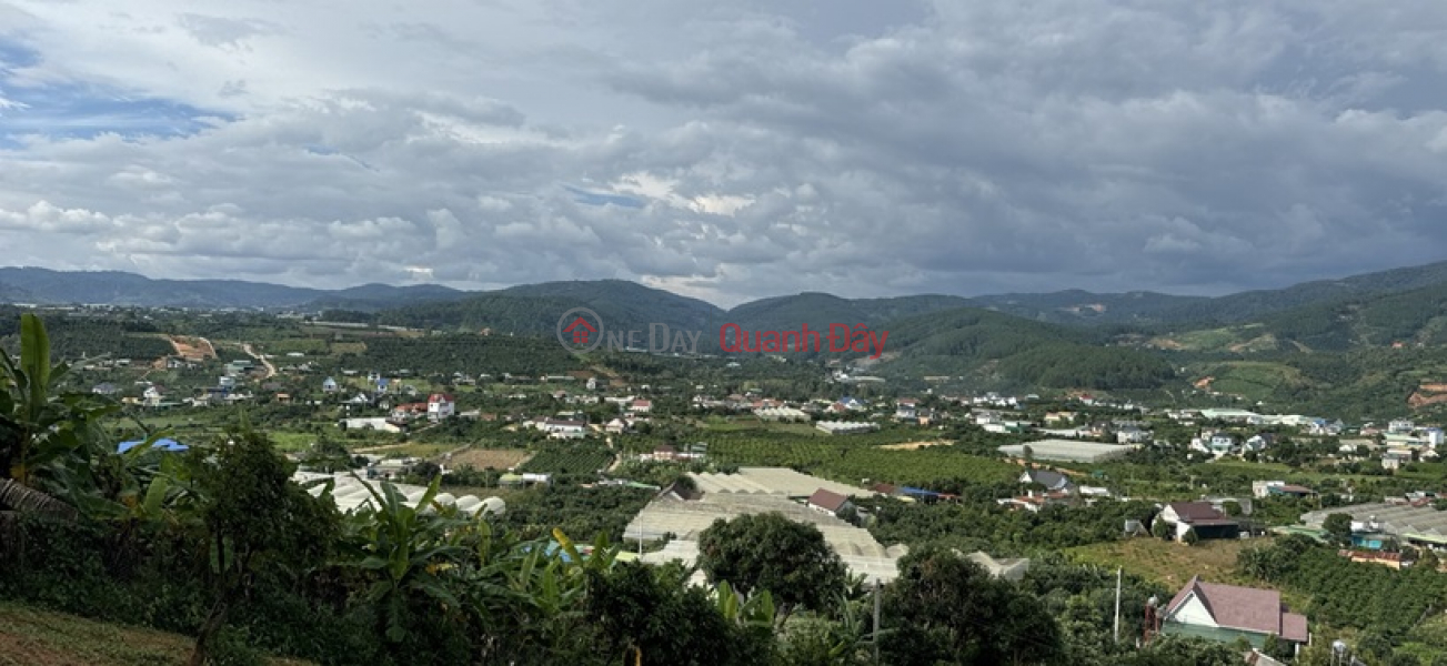 BEAUTIFUL LAND - GOOD PRICE - OWNERS NEED TO SELL LAND LOT QUICKLY IN Me Linh, Lam Ha, Lam Dong, Vietnam | Sales | đ 11.5 Billion