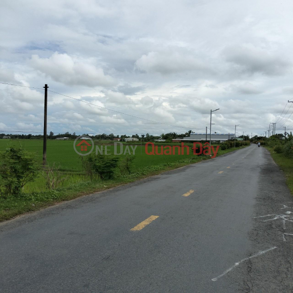 Property Search Vietnam | OneDay | Residential Sales Listings, HOT HOT - URGENTLY NEED TO SELL 5 LOTS OF LAND At Cho Hamlet, Long Hiep Commune, Tra Cu, Tra Vinh