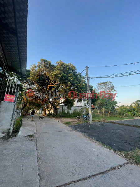 Property Search Vietnam | OneDay | Residential | Sales Listings Hot ACE, customers join to sell land plots Area: 98.6m2 Frontage 5.02 Backside 5.06 Village road 8m wide main axis