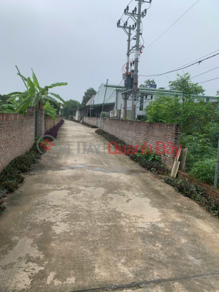 BEAUTIFUL LAND - GOOD PRICE - Need to Sell Quickly Land Lot on Provincial Road 411C, Phu Son Commune, Ba Vi District, Hanoi Vietnam, Sales, đ 4.8 Billion