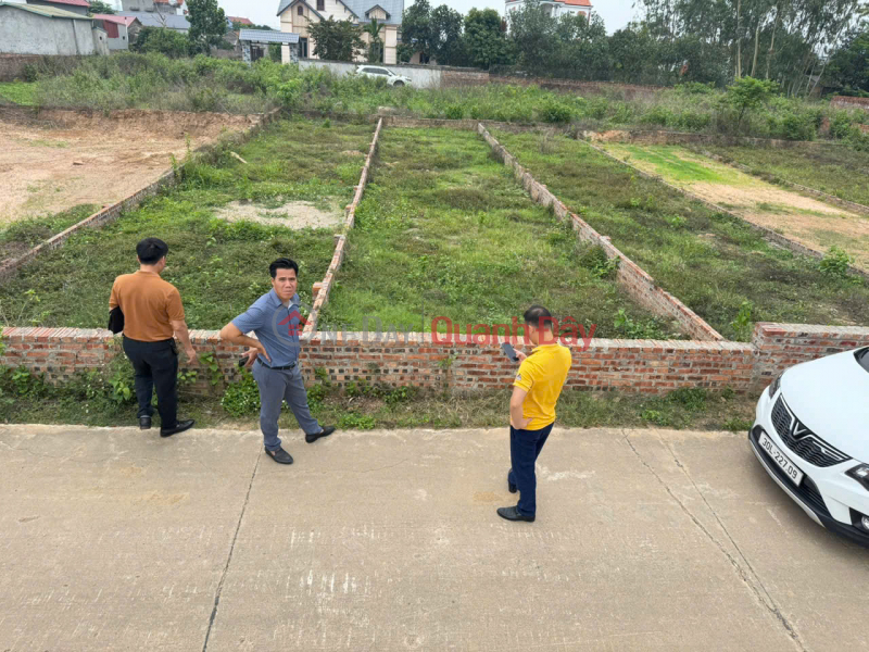 Land for sale in Minh Tri, Soc Son, Hanoi. Open road, car parking. Area 110m2, price 2.4 billion. Sales Listings
