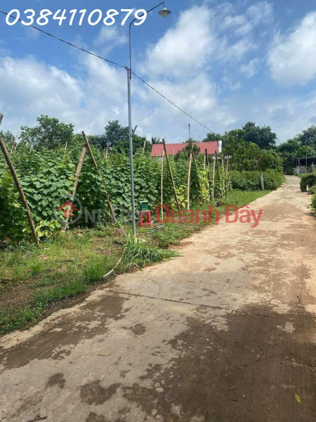 Property Search Vietnam | OneDay | Residential | Sales Listings | 17M BT FRONT - 1600M2, RESIDENTIAL, THANH LUONG, BINH LONG, BP