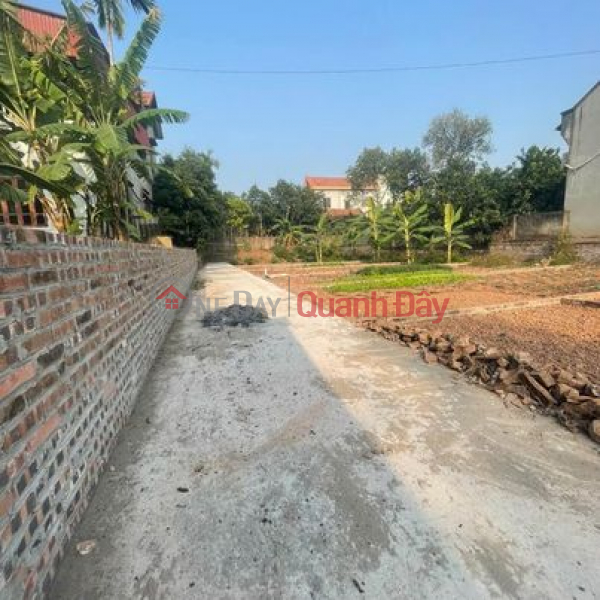 Property Search Vietnam | OneDay | Nhà ở Niêm yết bán, HƠN 400TR SỞ HỮU HƠN 50M ĐẤT HÀ NỘI, SẴN SỔ GIAO DỊCH. LH XEM ĐẤT 0916731784