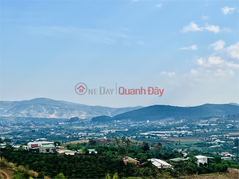 Property Search Vietnam | OneDay | Nhà ở | Niêm yết bán, ĐẤT VEN ĐÀ LẠT, VIEW CỰC CHILL TOÀN THỊ TRẤN NAM BAN, SHR.