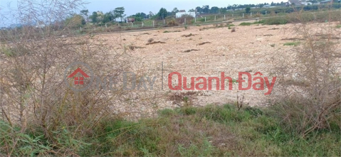 Selling 7000m2 of land, warehouse and factory for 50 years in Nhu Quynh, Van Lam, Hung Yen province _0