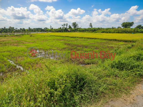 Giảm 100tr! Đất SHR HXH 246m2, Nở hậu – Trần Thị Năm Q12 SS _0