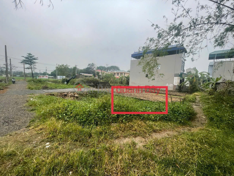 Property Search Vietnam | OneDay | Residential Sales Listings | HOT item, beautiful 41m2 Fo, center of Thuy Huong commune, Chuong My, right next to soccer field - primary school 0-1-2