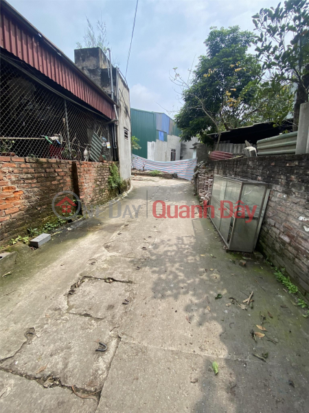 Property Search Vietnam | OneDay | Residential Sales Listings, Quick sale of 57m of road land in Dong Mai dike - extremely beautiful
