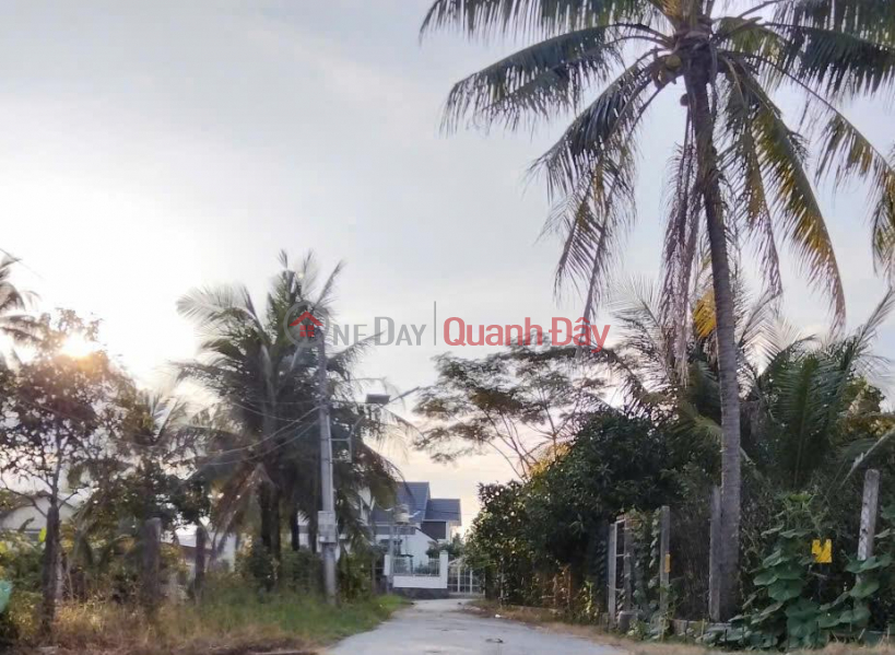 Owner Needs to Sell a Land Lot in a Prime Location in Thanh Dien, Chau Thanh, Tay Ninh - EXTREMELY PREFERENTIAL PRICE Sales Listings