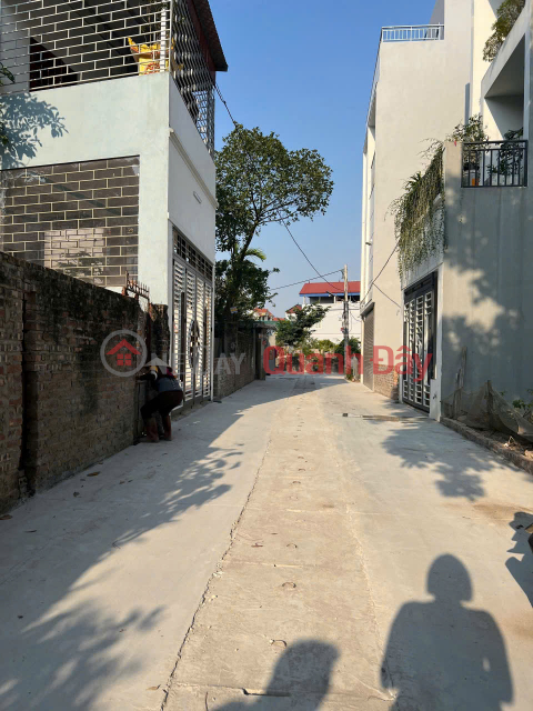 Đất tổ 9, Quang Minh, Mê Linh. Cực hiếm, giá công nhân, sinh viên. Gần KCN Quang Minh _0