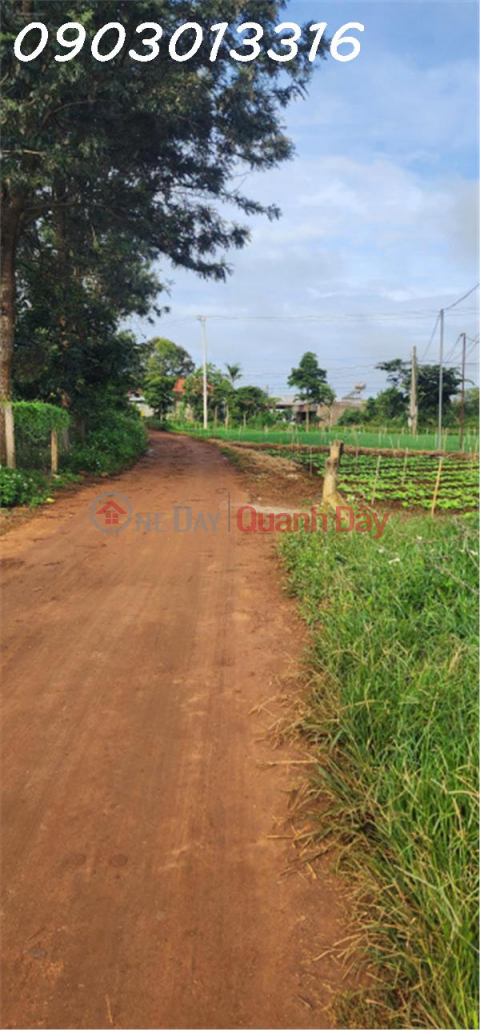 CẮT LỖ BÁN NHANH LÔ ĐẤT siêu đẹp tại TuTra Xã Đơn Dương, Lâm Đồng _0