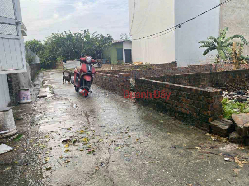 BÁN NHÀ CỰC ĐẸP HẢI BỐI, ĐÔNG ANH - LÔ GÓC, VIEW SÔNG - GIÁ CHỈ 2.X TỶ Niêm yết bán