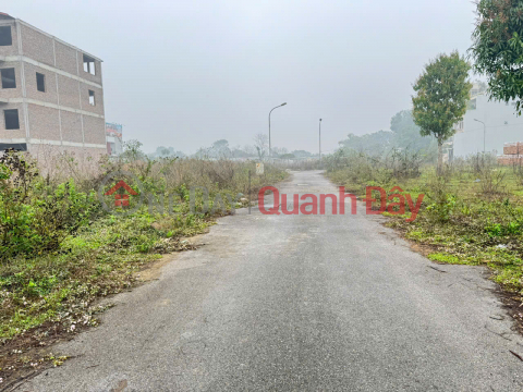Bán đất Khu đô thị Chi Đông, Mê Linh, Hà Nội - Vị trí Vàng, Đón Đầu Vành Đai 4 _0