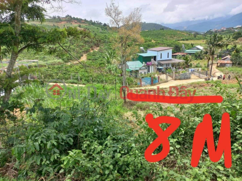 BEAUTIFUL LAND - GOOD PRICE - Land Lot For Sale Prime Location In Di Linh Town, Di Linh District, Lam Dong _0