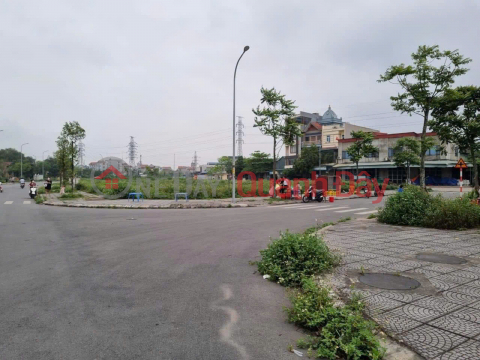 Owner sells 100m2 of land in Bao Long Urban Area, Huong Mac, Tu Son, Bac Ninh, investment price _0