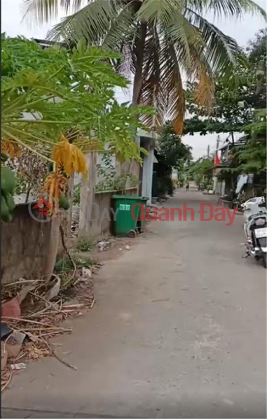 đ 3.3 Billion Owner Needs To Sell Land Lot In Nice Location In Nhon Trach District, Dong Nai