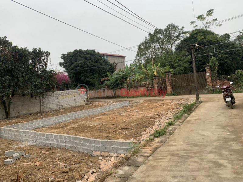 The owner sent for sale a plot of land of 81.5m2, only 1.x billion (x tiny),at Xom 4, Thuy Xuan Tien, Chuong My, Hanoi, alley, Vietnam | Sales | đ 1.2 Billion