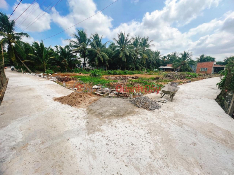 Property Search Vietnam | OneDay | Residential | Sales Listings | GENERAL FOR SALE Urgently Beautiful Land Lot in Long An Commune, Chau Thanh District, Tien Giang