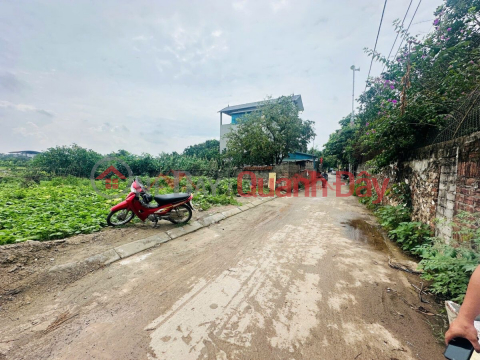 CHÍNH CHỦ CẦN BÁN LÔ ĐẤT 67,2M TẠI PHỤNG CHÂU-CHƯƠNG MỸ-HÀ NỘI _0