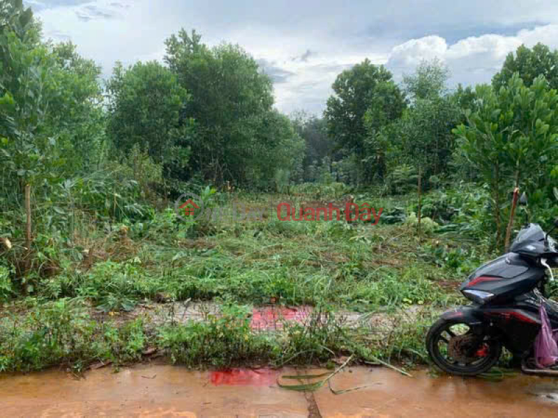 ĐẤT ĐẸP – GIÁ TỐT - CẦN BÁN LÔ ĐẤT tại xã Nghĩa Trung, Bù Đăng - Tỉnh Bình Phước Việt Nam Bán | đ 680 triệu