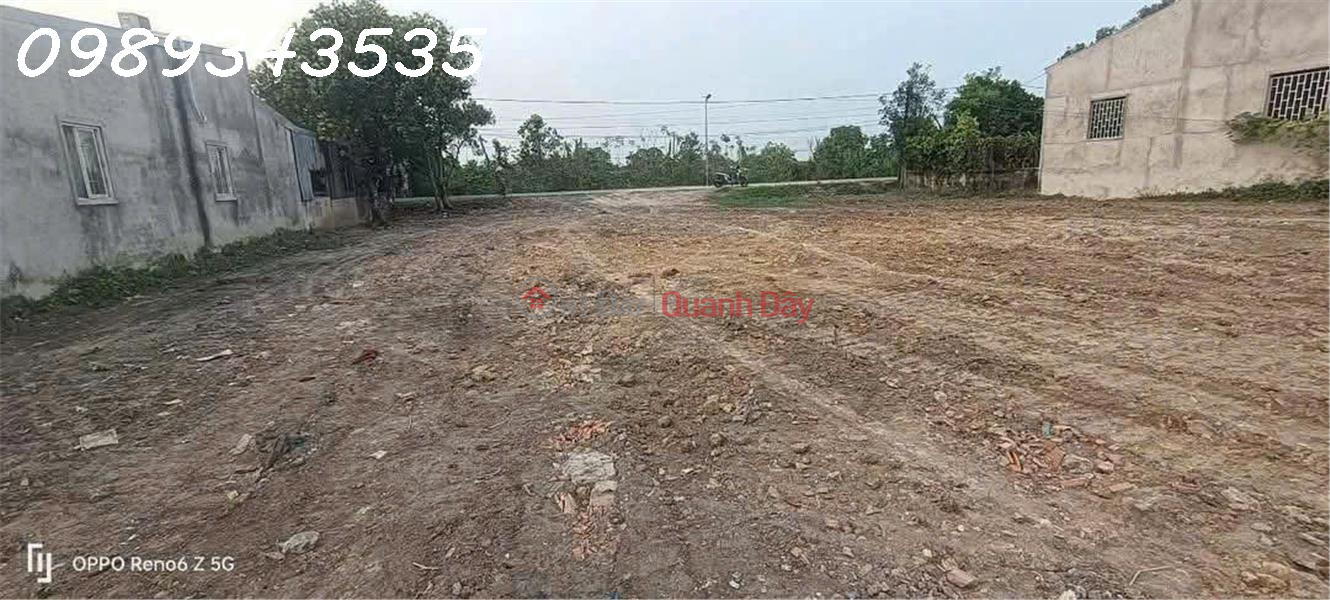 Property Search Vietnam | OneDay | Residential Sales Listings, Owner selling a plot of land with frontage on a paved road in Hau Nghia Town, Duc Hoa District, Long An Province.
